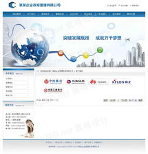 卓越管理，智创未来 打造专业高效的企业管理咨询公司网站